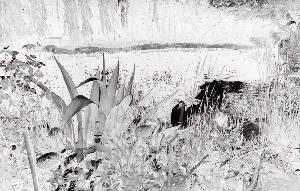 SC_AFRLSER_SER-s5020-0001096_IMG-0000001990