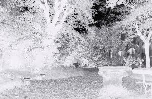 SC_AFRLSER_SER-s5020-0001313_IMG-0000002309