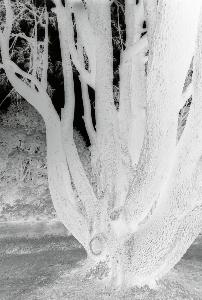 SC_AFRLSER_SER-s5020-0001318_IMG-0000002314