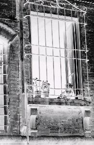 SC_AFRLSER_SER-s5020-0001368_IMG-0000002364