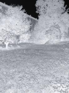SC_AFRLSER_SER-s5020-0001404_IMG-0000002400