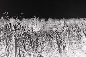 SC_AFRLSER_SER-s5020-0001411_IMG-0000002407