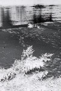 SC_AFRLSER_SER-s5020-0001417_IMG-0000002413