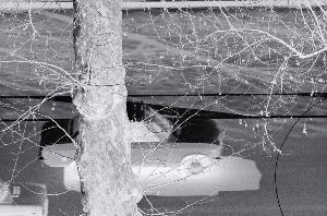 SC_AFRLSER_SER-s5020-0001562_IMG-0000002558