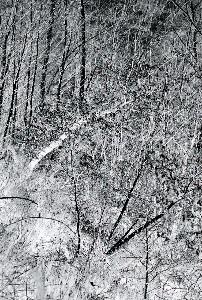 SC_AFRLSER_SER-s5020-0001571_IMG-0000002567