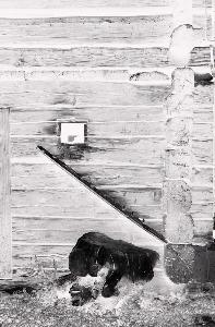 SC_AFRLSER_SER-s5020-0001702_IMG-0000002867