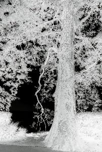 SC_AFRLSER_SER-s5020-0002125_IMG-0000003556