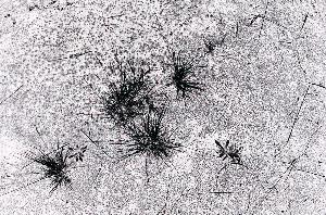 SC_AFRLSER_SER-s5020-0002343_IMG-0000003972