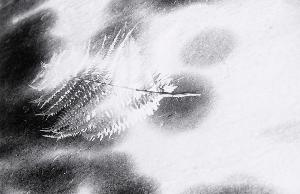SC_AFRLSER_SER-s5020-0002428_IMG-0000004312