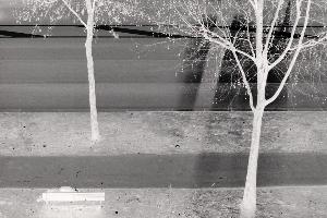 SC_AFRLSER_SER-s5020-0002514_IMG-0000004444