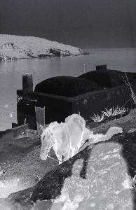 SC_AFRLSER_SER-s5020-0002738_IMG-0000004898