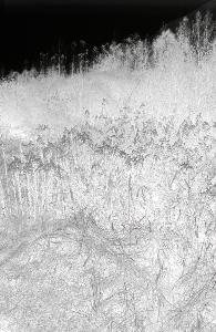 SC_AFRLSER_SER-s5020-0002910_IMG-0000005198