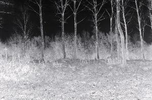 SC_AFRLSER_SER-s5020-0002911_IMG-0000005200