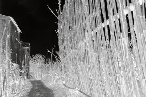 SC_AFRLSER_SER-s5020-0003000_IMG-0000005289