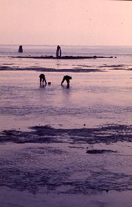 SC_AFRLSER_SER-s5020-0003091_IMG-0000005539