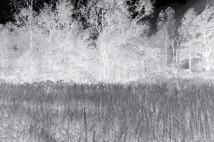 SC_AFRLSER_SER-s5020-0003094_IMG-0000005579