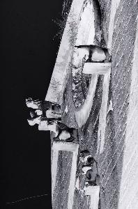 SC_AFRLSER_SER-s5020-0003107_IMG-0000005613