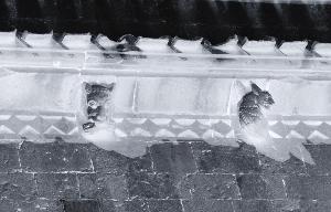 SC_AFRLSER_SER-s5020-0003191_IMG-0000005788