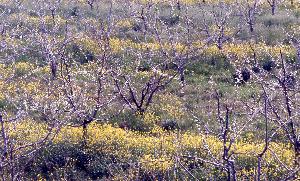 SC_AFRLSER_SER-s5020-0003290_IMG-0000006046