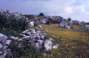 SC_AFRLSER_SER-s5020-0003291_IMG-0000006052