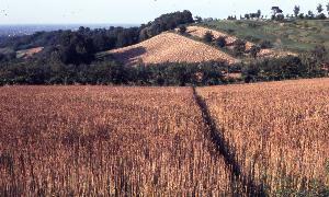 SC_AFRLSER_SER-s5020-0003362_IMG-0000006152