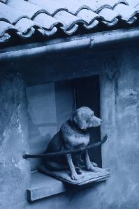 SC_AFRLSER_SER-s5020-0003393_IMG-0000006182