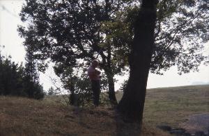 SC_AFRLSER_SER-s5020-0003398_IMG-0000006187
