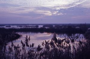SC_AFRLSER_SER-s5020-0003399_IMG-0000006188