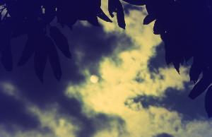 SC_AFRLSER_SER-s5020-0003482_IMG-0000006354