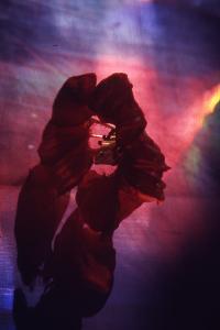 SC_AFRLSER_SER-s5020-0003519_IMG-0000006400