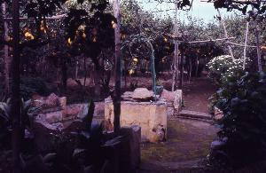 SC_AFRLSER_SER-s5020-0003552_IMG-0000006442
