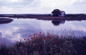 SC_AFRLSER_SER-s5020-0003571_IMG-0000006458
