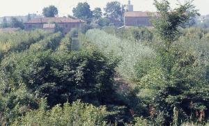 SC_AFRLSER_SER-s5020-0003612_IMG-0000006534