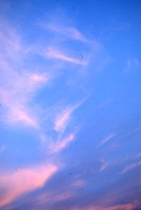 SC_AFRLSER_SER-s5020-0003624_IMG-0000006873
