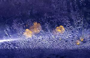 SC_AFRLSER_SER-s5020-0003625_IMG-0000006945