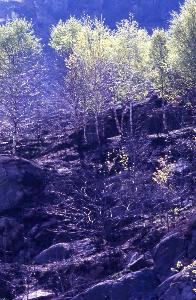 SC_AFRLSER_SER-s5020-0003628_IMG-0000006948