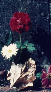 SC_AFRLSER_SER-s5020-0003638_IMG-0000006958