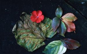 SC_AFRLSER_SER-s5020-0003641_IMG-0000006961