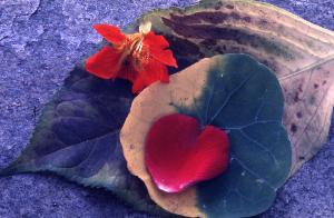 SC_AFRLSER_SER-s5020-0003642_IMG-0000006962