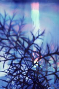 SC_AFRLSER_SER-s5020-0003644_IMG-0000006964
