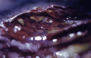 SC_AFRLSER_SER-s5020-0003646_IMG-0000006966