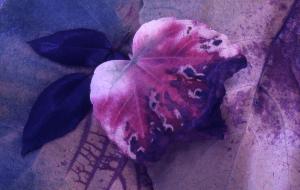 SC_AFRLSER_SER-s5020-0003648_IMG-0000006968