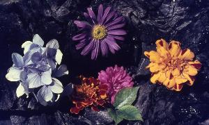 SC_AFRLSER_SER-s5020-0003649_IMG-0000006969