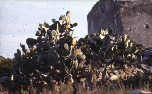SC_AFRLSER_SER-s5020-0003664_IMG-0000006984