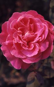 SC_AFRLSER_SER-s5020-0003669_IMG-0000006989