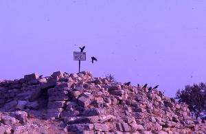 SC_AFRLSER_SER-s5020-0003677_IMG-0000006997