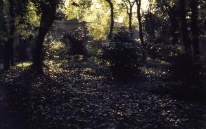 SC_AFRLSER_SER-s5020-0004269_IMG-0000008137
