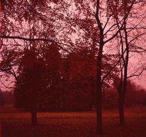 SC_AFRLSER_SER-s5020-0004651_IMG-0000009146
