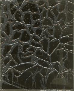 SC_AFRLSER_SER-s5020-0004904_IMG-0000013064