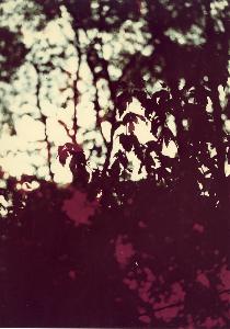 SC_AFRLSER_SER-s5020-0005344_IMG-0000013513